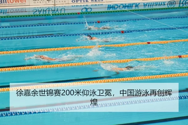 xu-jia-yu-shi-jin-sai-mi-yang-yong-wei-mian-zhong-guo-you-yong-zai-chuang-hui-huang-2-860.jpg