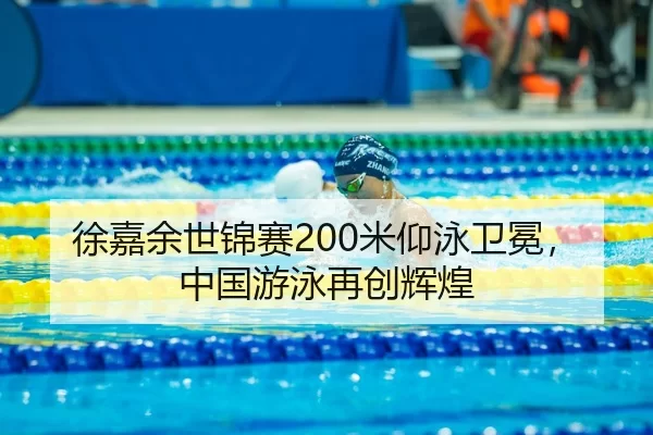 xu-jia-yu-shi-jin-sai-mi-yang-yong-wei-mian-zhong-guo-you-yong-zai-chuang-hui-huang-3-969.jpg