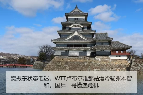 樊振东状态低迷，WTT卢布尔雅那站爆冷输张本智和，国乒一哥遭遇危机